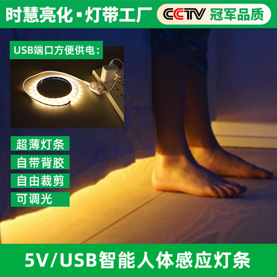 人体感应防水楼道玄关电池盒灯带