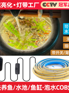 古法鱼缸12V水池下户外幻彩灌胶灯带24V高亮COB防水led氛围潜水灯