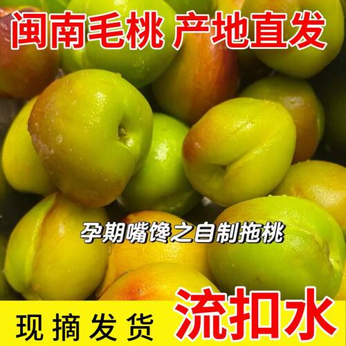 正宗福建脆皮毛桃酸脆毛桃脆甜毛桃现摘现发孕妇酸甜水果自己腌制