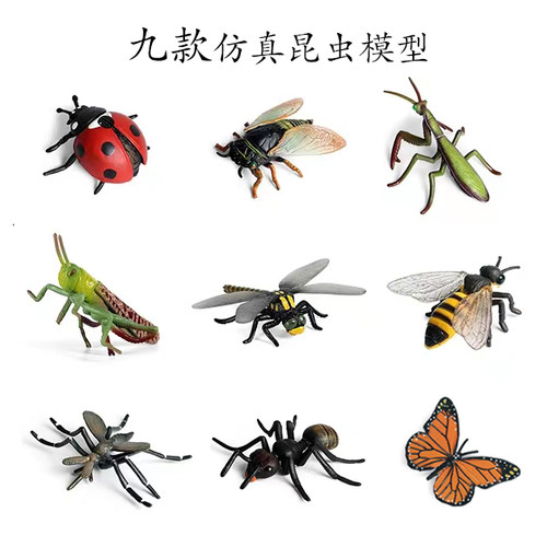 幼儿蜜蜂蝴蝶螳螂七星昆虫模型