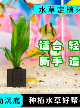 鱼缸定植环水草定植蓝沉底固定器适合新手新款鱼缸造景环水草固根