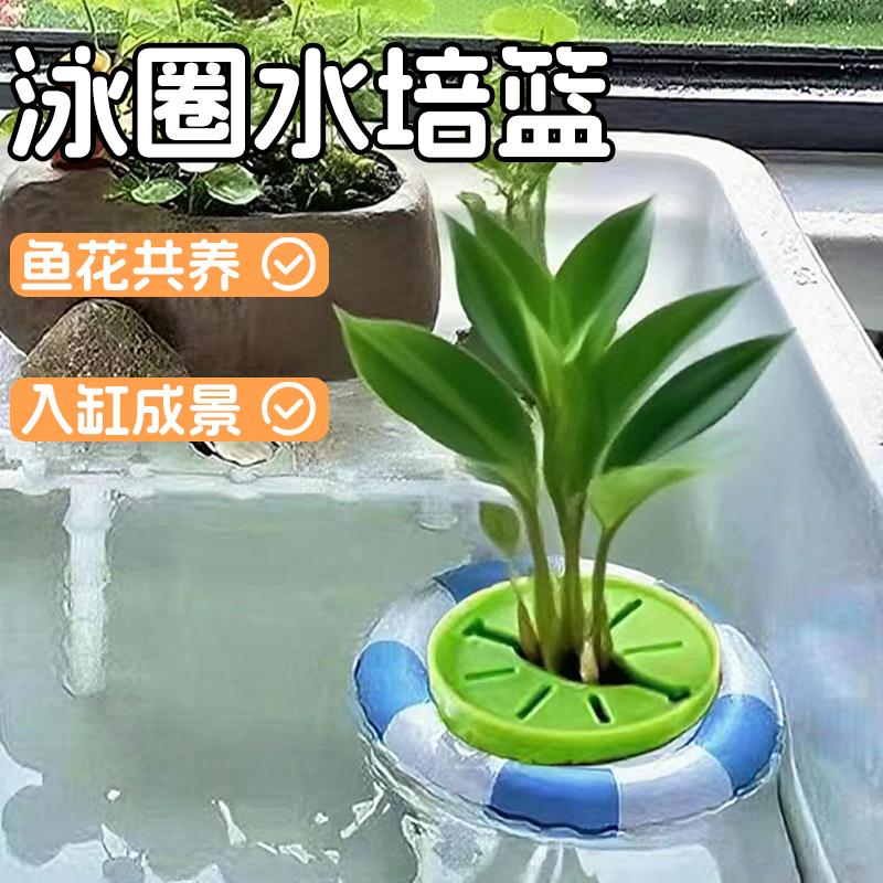 水培器皿迷你小游泳圈室内植物培养器鱼缸造景摆件水培花盆固定篮