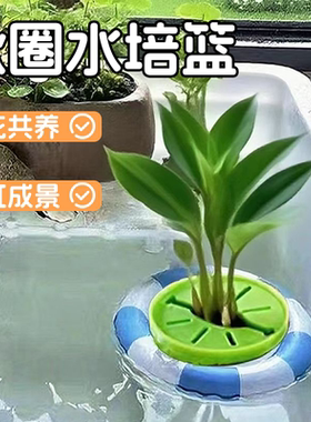 水培器皿迷你小游泳圈室内植物培养器鱼缸造景摆件水培花盆固定篮