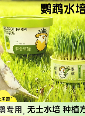 新鲜即食鹦鹉食用麦芽草大麦草鸟零食饲料啃咬草虎皮牡丹玄凤鸟草