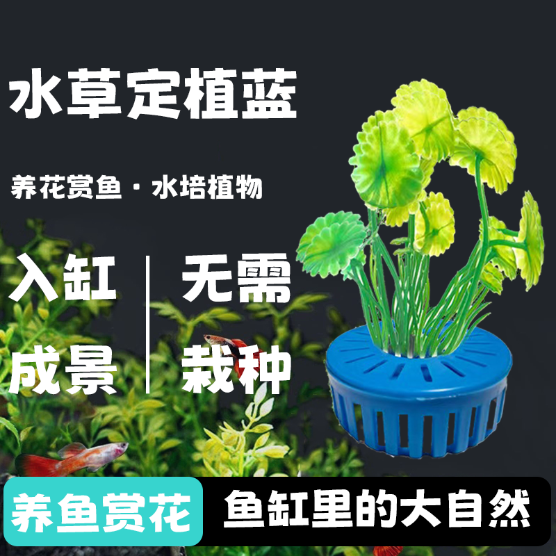 水培植物蓝家用鱼缸水草种植篮沉水杯造景装饰固根器水草泥沉底器