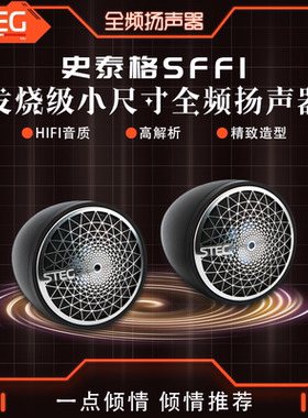 史泰格SFF1全频铝音箱汽车音响改装中置环绕天空声道传统全频