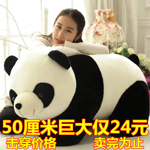 迷糊熊公仔抱枕PP棉可爱