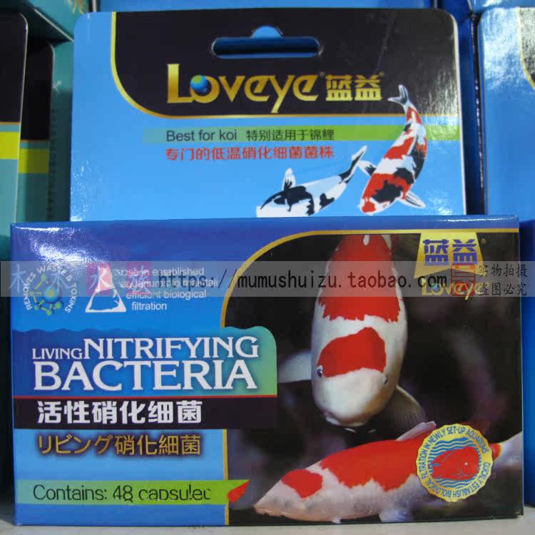 正品蓝益硝化细菌粉剂鱼缸水族箱净水过滤培养益生菌一盒包邮