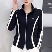 小衫 春装 T恤2025新款 女设计感小众上衣长袖 法式 立领双向拉链短款