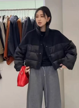 欧货休闲立领长袖双面羊绒拼接白鸭绒短款羽绒服女冬季小个子外套