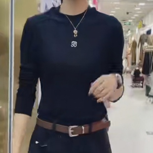 欧洲站春秋微透新款时尚半高领小刺绣舒适天丝羊毛衫打底长袖T恤