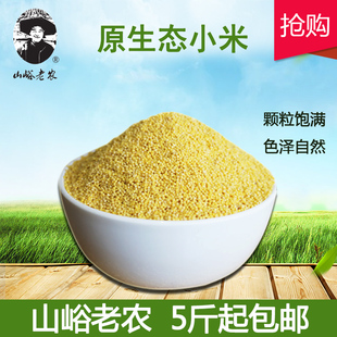 山东潍坊安丘辉渠春谷梯田农家黄小米小米粥五谷杂粮食品