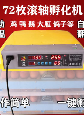 滚筒孵化机双电源浮卵期