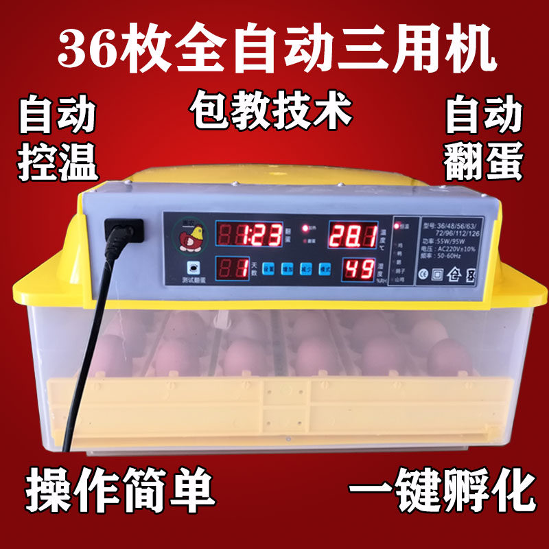 家用卵蛋器人工智能孵蛋箱厂家店
