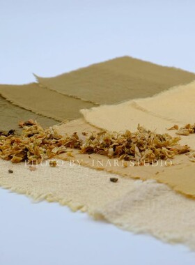 稻荷Inari 槐花 槐米 黄色系天然植物染料 草木染材 手工扎染DIY