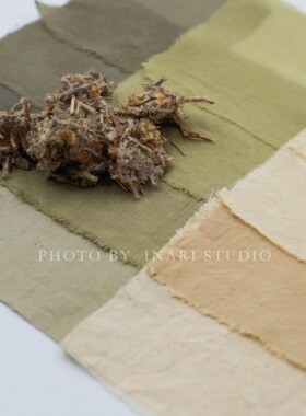 稻荷Inari 鼠曲草佛耳草 绿色天然植物染料 草木染材手工扎染DIY