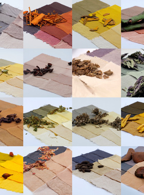 稻荷Inari 20多种天然植物染料套装 全套草木染材 手工扎染DIY