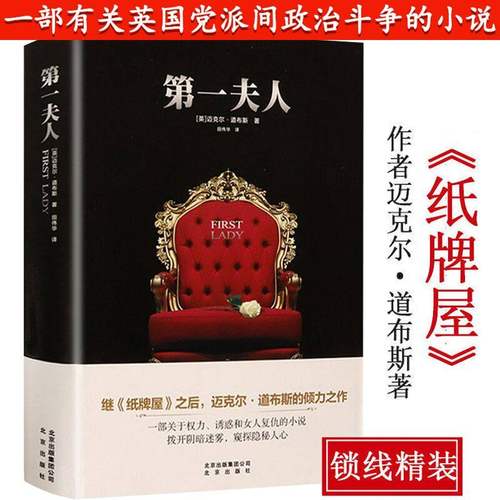 diyi夫人政治悬疑小说迈克尔