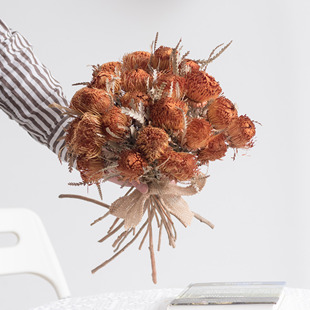 无限的祝福花草集严选澳洲进口黄金佛塔针垫山茂尖干花包天然装饰