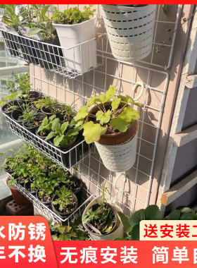 阳台壁挂网格多肉植物花架铁艺