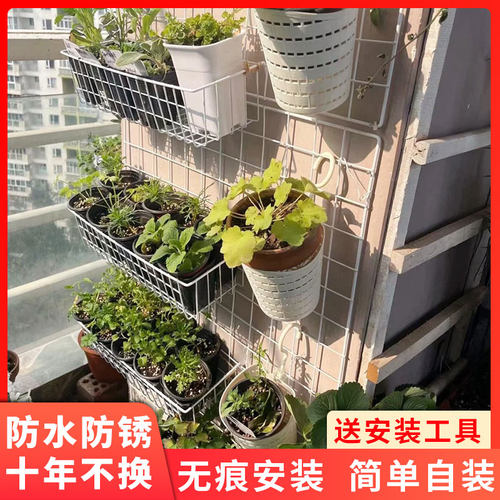 阳台壁挂网格多肉植物花架铁艺
