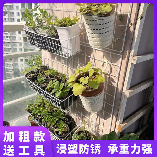 网格花架爬藤架植物支撑固定架蔷薇月季蝴蝶兰墙面挂网攀爬展示架