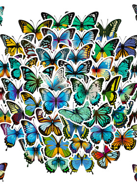 50张蓝色花蝴蝶贴纸stickers速卖通亚马逊跨境彩色蝴蝶涂鸦贴纸