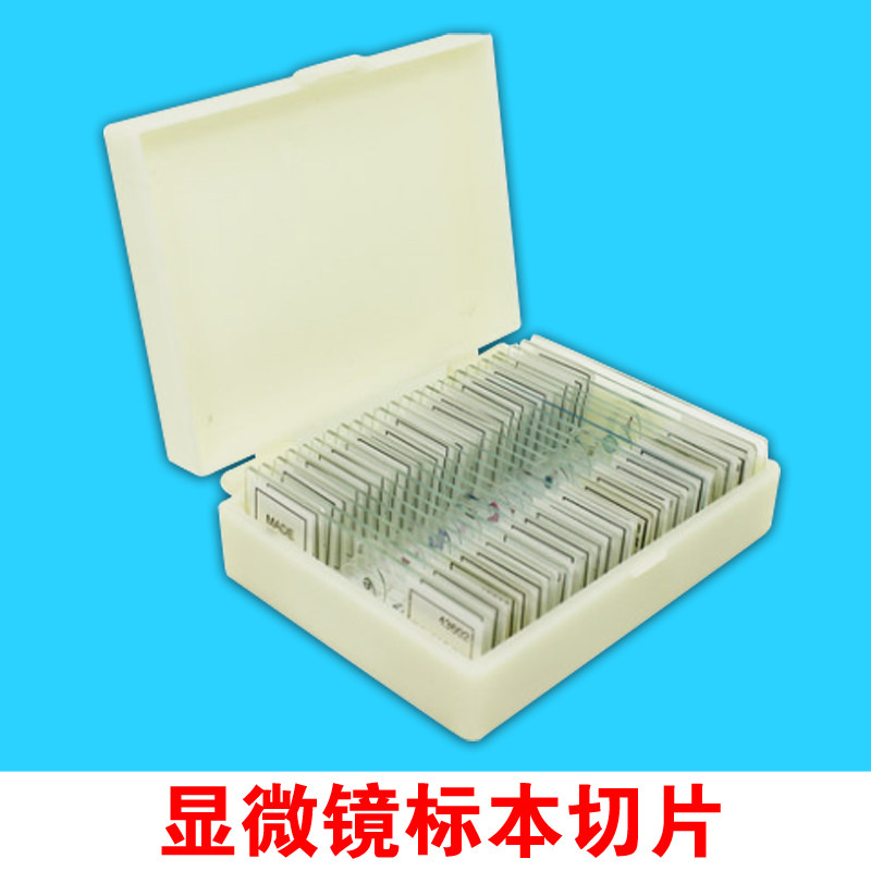 显微镜生物切片标本盒装动植物