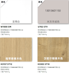 W1000SM至尊白奥地利进口爱格激光封边文信豪迈瑞好一门到顶U702