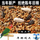 牡丹鹦鹉饲料玄风鸟粮混合鸟食五谷杂粮鸟粮谷子油葵份 3斤