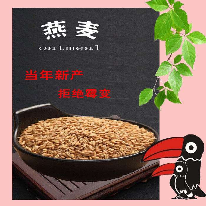 新产燕麦鸟食宠物零食鼠麻籽