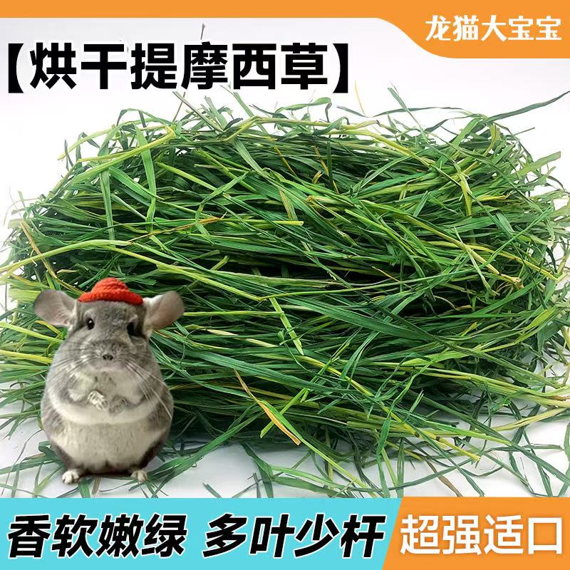 现货嫩绿赫尔达提摩西草南兔子