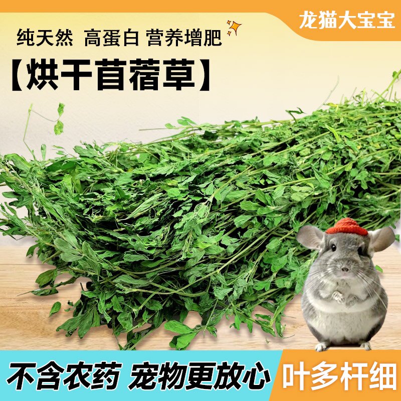 精品头茬烘干紫花苜宿草龙猫兔子牧草1Kg 全店满68包邮