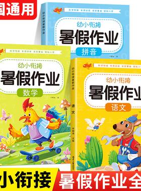 幼小衔接暑假作业语文数学拼音幼儿园升一年级必备暑期专项练习题  幼儿学前班10 20 50 100幼儿园中大班算数本教材全套每日一练