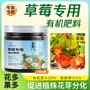 草莓专用肥草莓肥有机肥氮磷钾复合肥颗粒增甜结果大产量高种草莓