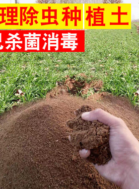 优质田园土直销杀菌普通养花土营养土通用楼顶种菜专用土荷塘泥土