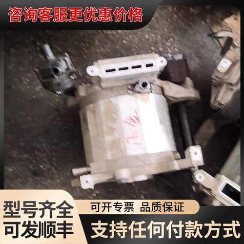 议价枫叶60S/80V驱动电机总成，型号TZ200XSJZA可维修