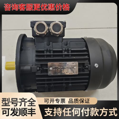 议价HOYER HMA390S-4 1.28KW 400V 6可维修
