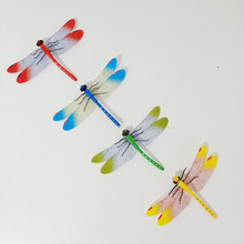 饰 仿真塑料假蜻蜓模型3D昆虫标本道具立体幼儿早教儿童玩具园艺装
