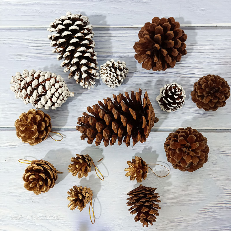天然松果野生真花美国松塔幼儿园手工diy创意材料树枝干花束装饰