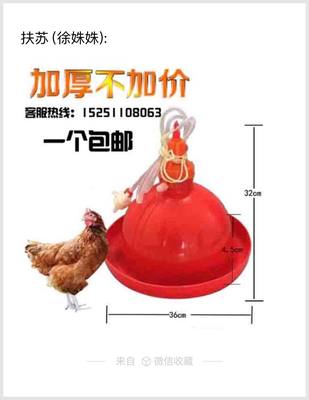 自动喂水器家禽用品养殖鸡鸭鹅