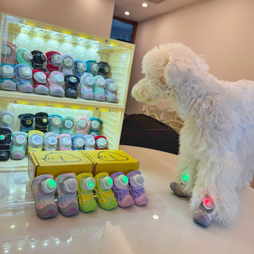 带灯的狗狗鞋子透气软底雪纳瑞比熊泰迪柴犬西高地宠物鞋子