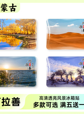 阿拉善旅游风景冰箱贴纪念品磁贴