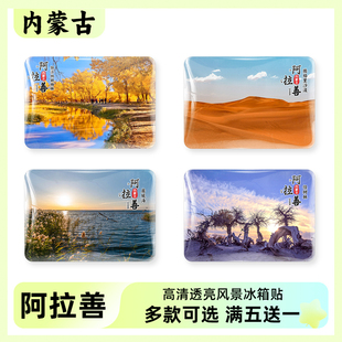 阿拉善旅游风景纪念品冰箱贴居延海额济纳胡杨林腾格里沙漠怪树林