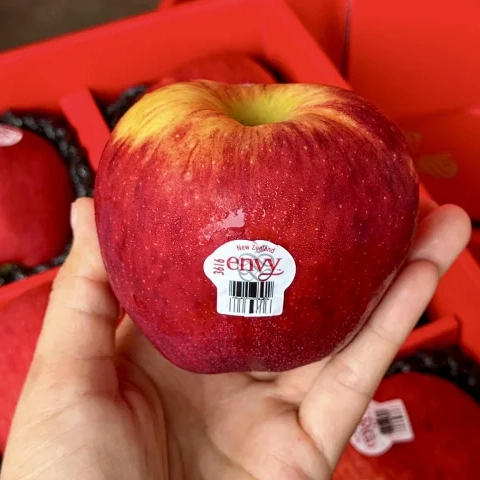 现货新西兰爱妃苹果礼盒装envy3616中果新鲜水果当季现摘顺丰包邮