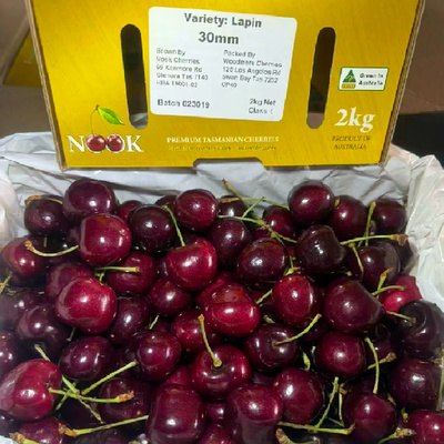 澳洲塔斯马尼亚reid金袋鼠车厘子