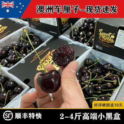 澳洲kordia车厘子小黑盒空运