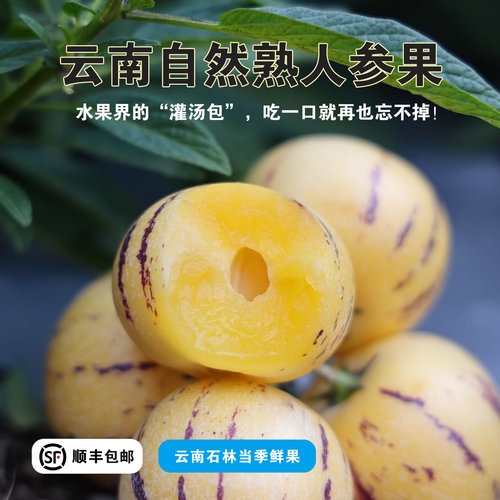云南石林自然熟人参果礼盒装