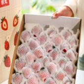 奈丸高甜樱桃草莓礼盒日本原种德岛超甜蜜桃草莓凉山现摘顺丰 包邮