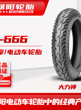 朝阳大力神H-666 16×2.5/3.0-10电动车电摩托轮胎真空胎ll